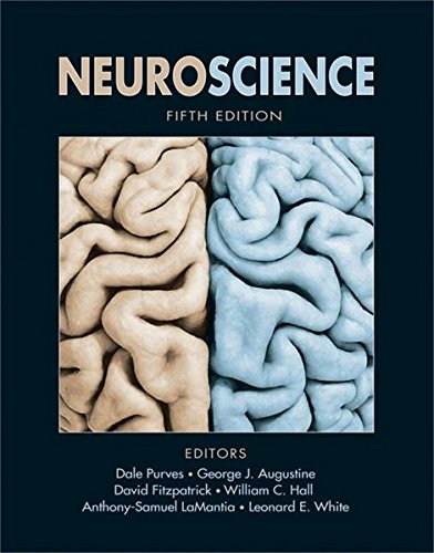 Neuroscience - 9780878936953
