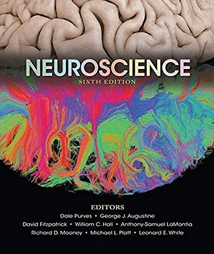 Neuroscience - 9781605353807