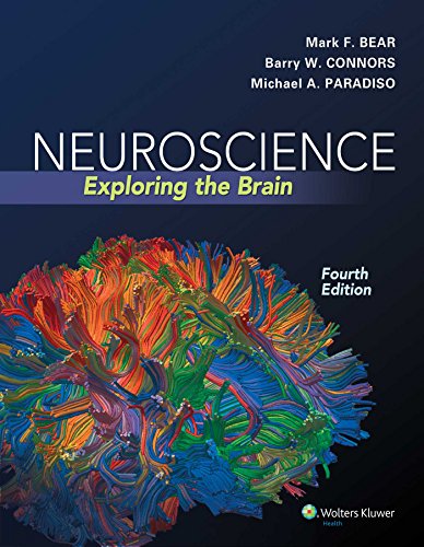 Neuroscience: Exploring the Brain - 4th Edition
