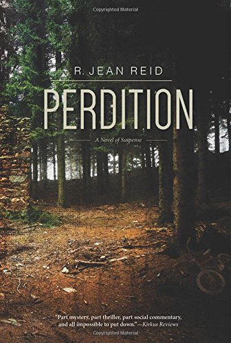 Perdition: a novel of suspense
