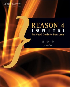 Reason 4 Ignite By Piper, Matt