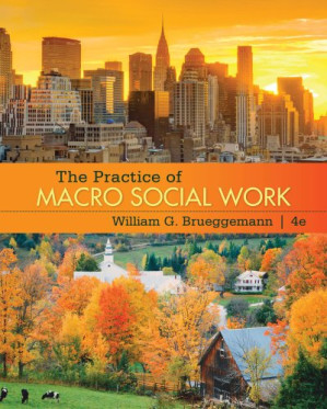 The Practice of Macro Social Work By William G Brueggemann - 9781111576004