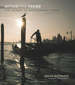 Within the Frame: The Journey of Photographic Vision - David duChemin